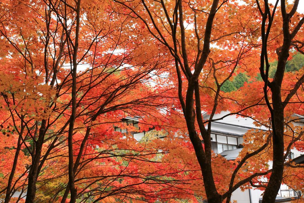 Nukumorino-Yado Komanoyu Kiso Exteriér fotografie